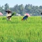image used for representative purpose only (1)